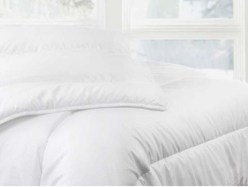 Comforter Dustmite Duvet